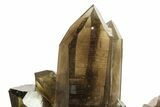 Dark Smoky Quartz Crystal Cluster on Metal Stand - Brazil #274477-2